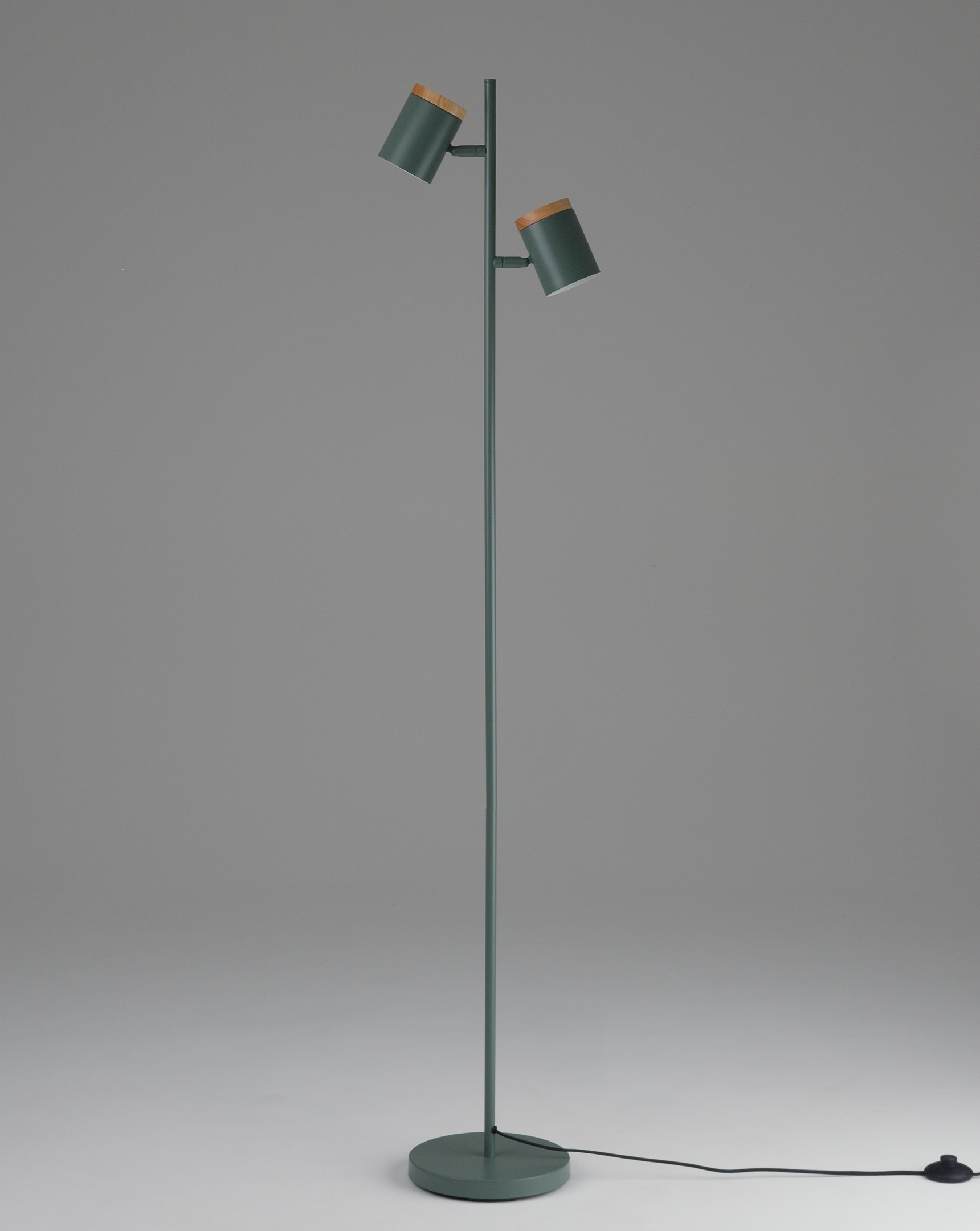 Торшер Moderli V11290-2F Asheswood