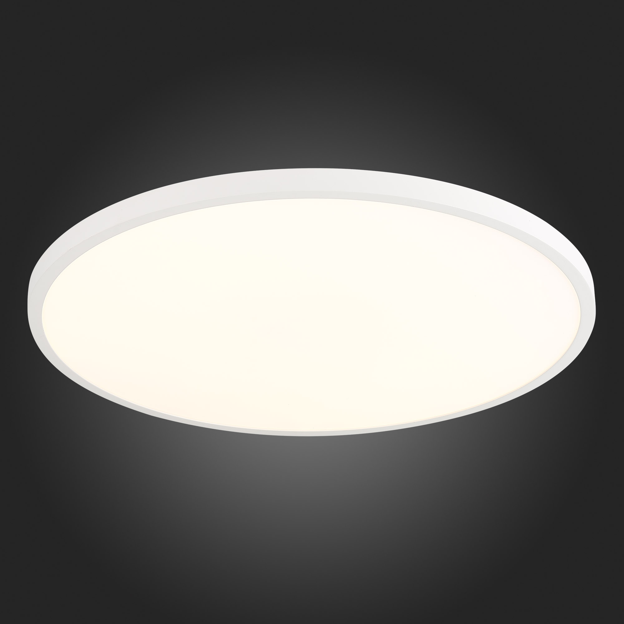 ST601.532.48 Светильник настенно-потолочный Белый LED 1*48W 3000K 4 320Lm Ra&gt;80 120° IP20 D600xH25 1 Накладные светильники