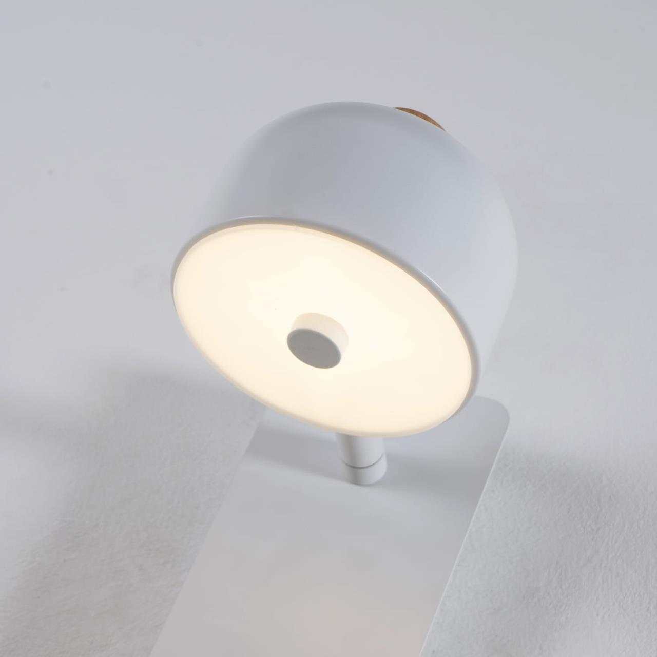 Настенный светильник Favourite 2834-1W