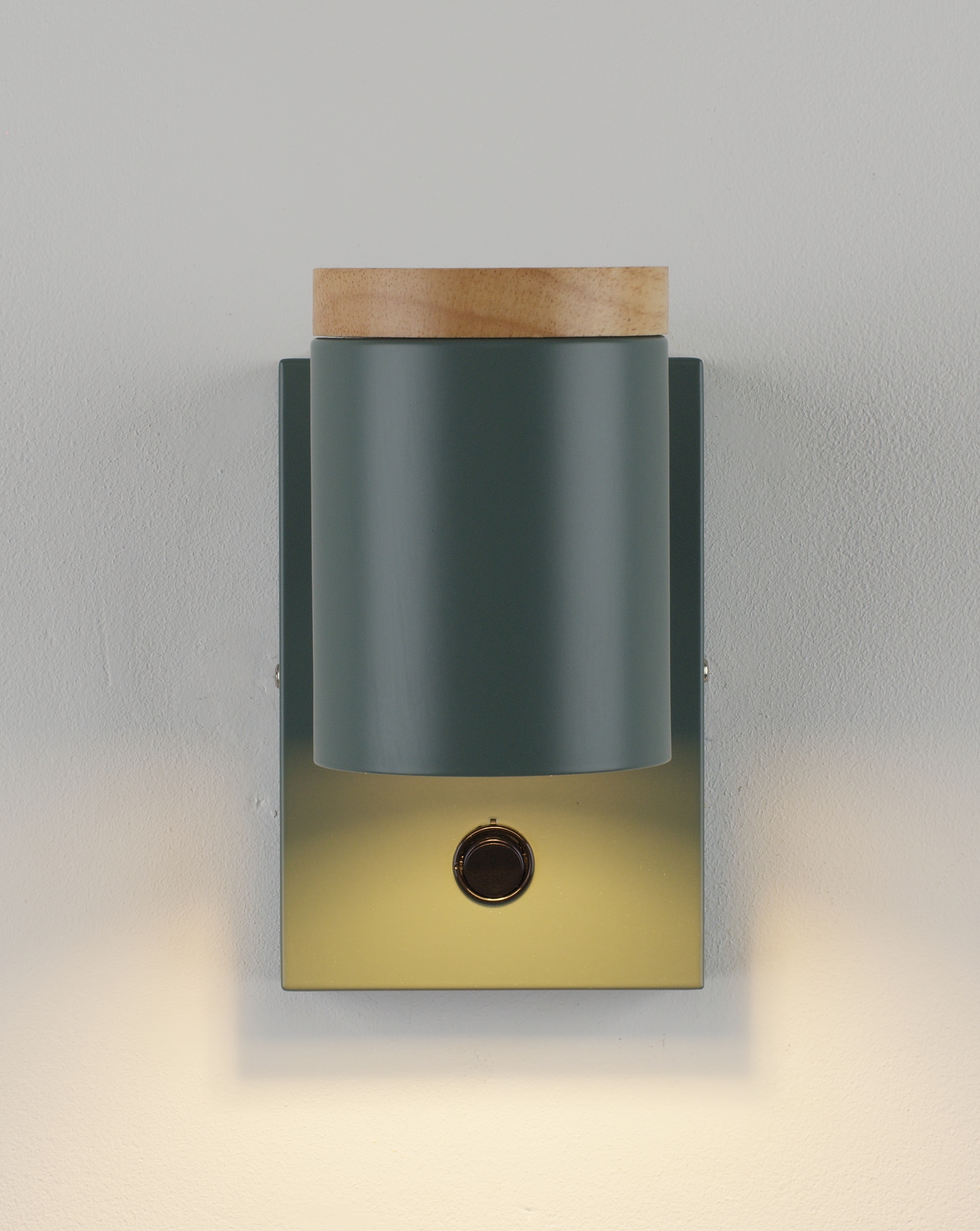 Светильник настенный Moderli V11294-1W Asheswood