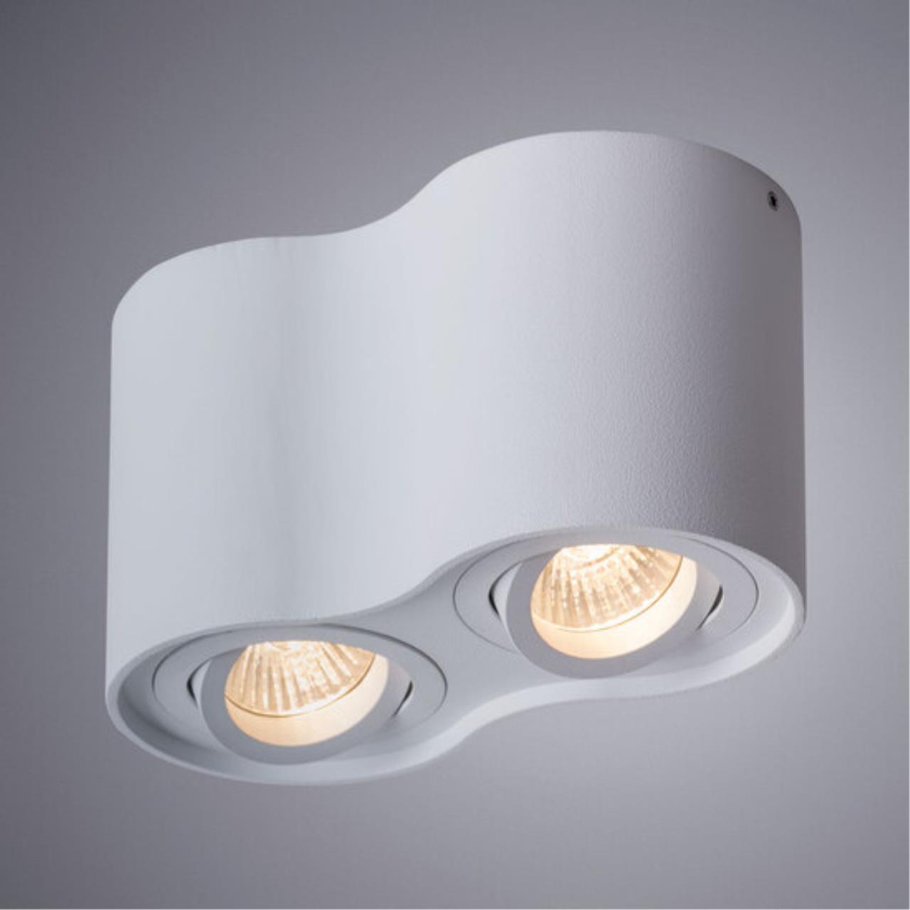 Накладной светильник Arte lamp A5645PL-2WH