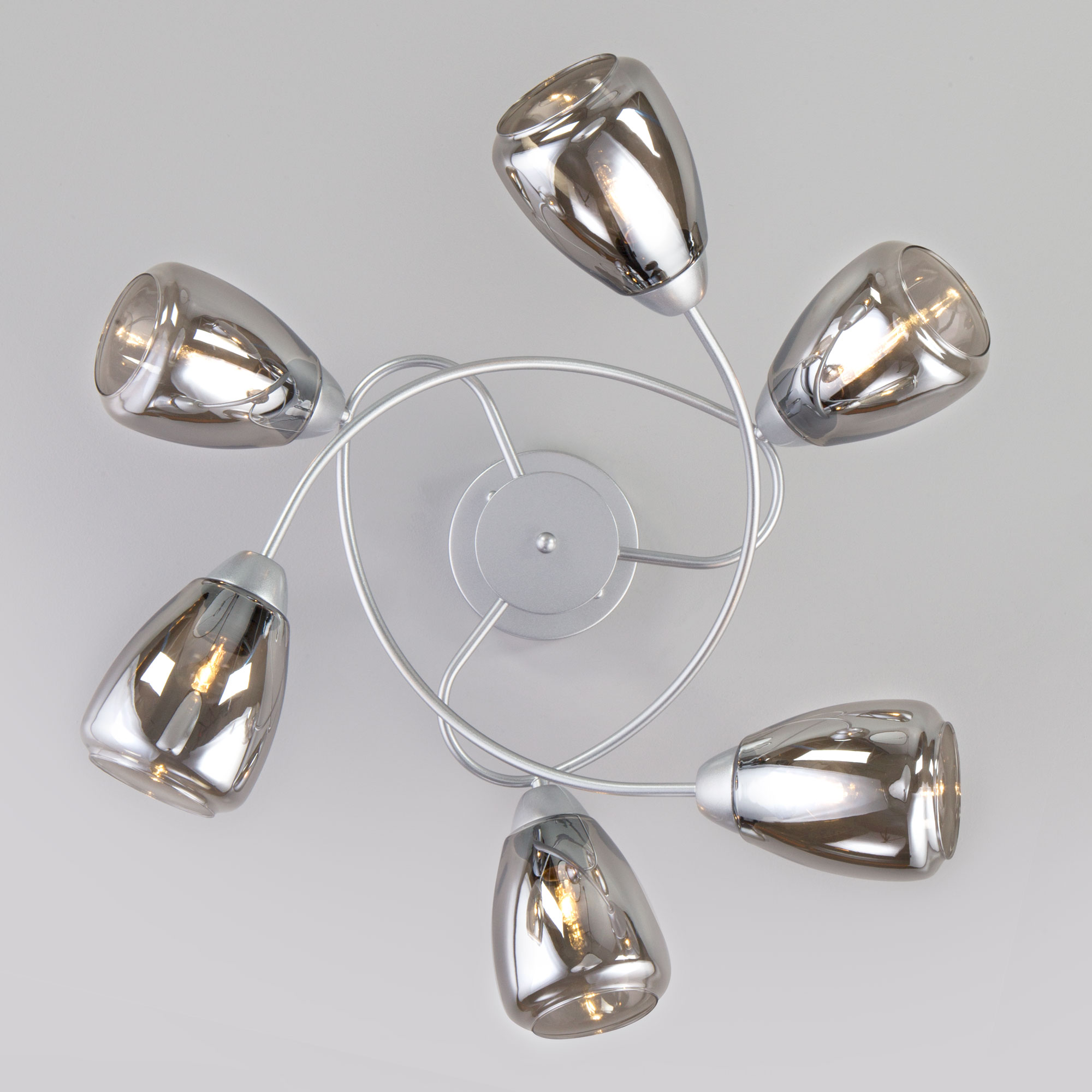 Потолочный светильник Eurosvet 30168/6 матовое серебро