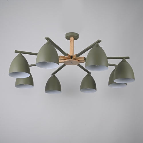 https://imperiumloft.ru/image/catalog/newlamps/183464-26/183464-26-1.jpg