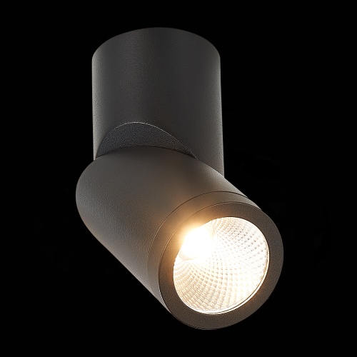 ST650.442.10 Светильник потолочный Черный LED 1*10W 4000K 800Lm Ra&gt;90 38° IP44 D62xH151 165-265V Накладные светильники