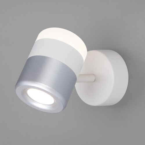https://cdn.eurosvet.ru/images/catalog/nastennyy-svetodiodnyy-svetilnik-v-stile-minimalizm-20165-1-led-belyy-serebro-a045465-0001.jpg