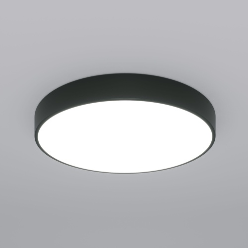Потолочный светильник Eurosvet 90320/1 черный