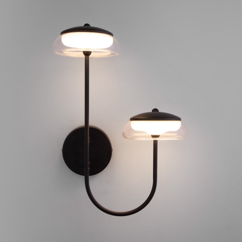 Настенный светильник Eurosvet 50388/2 LED черный