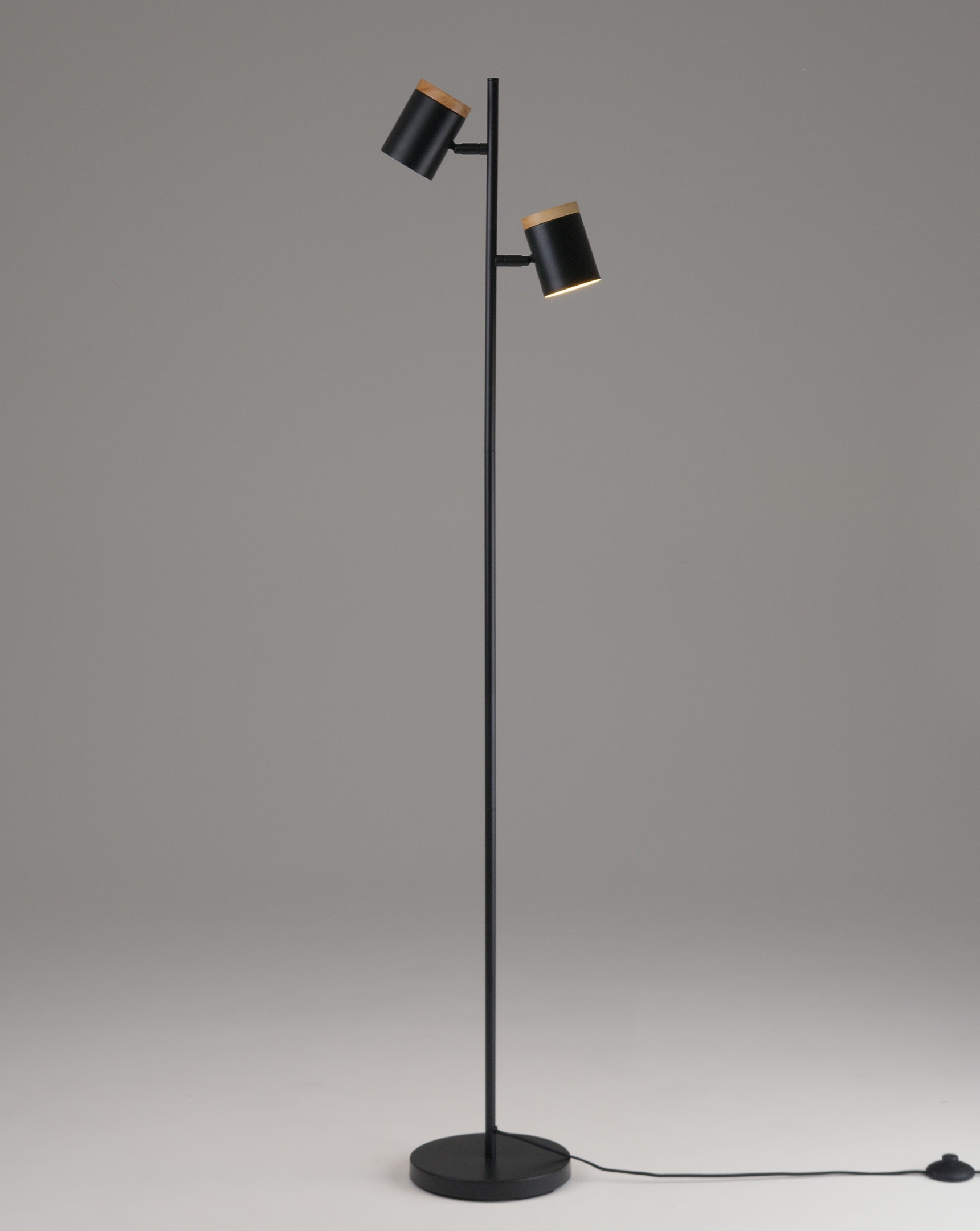 Торшер Moderli V11287-2F Asheswood