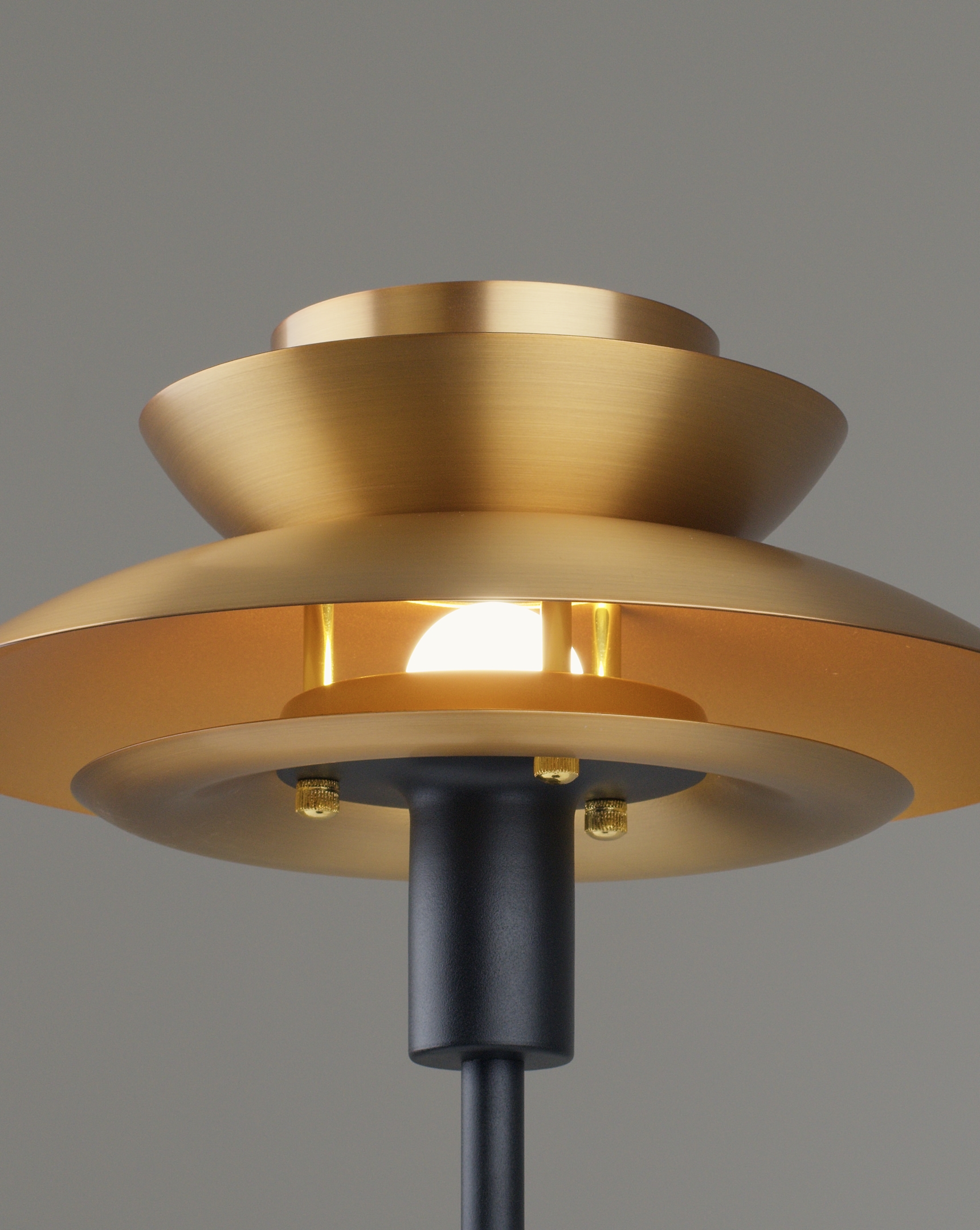 Лампа настольная Moderli V11298-1T Shaggy