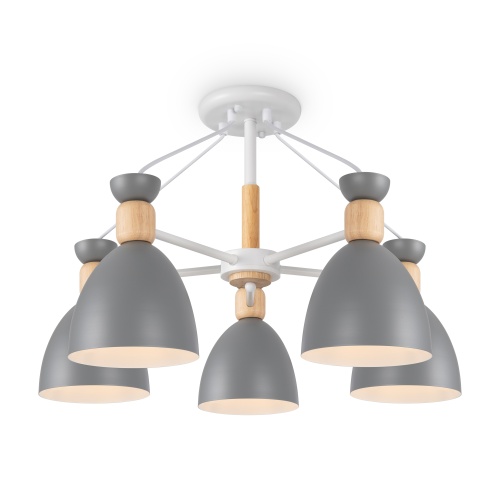 https://mais-upload.maytoni.de/Photo/81e12539-74d0-4c5e-9d2e-5486273e6ffa/007standard/RENDER_FR5033CL-05W_on_w_standard.jpeg