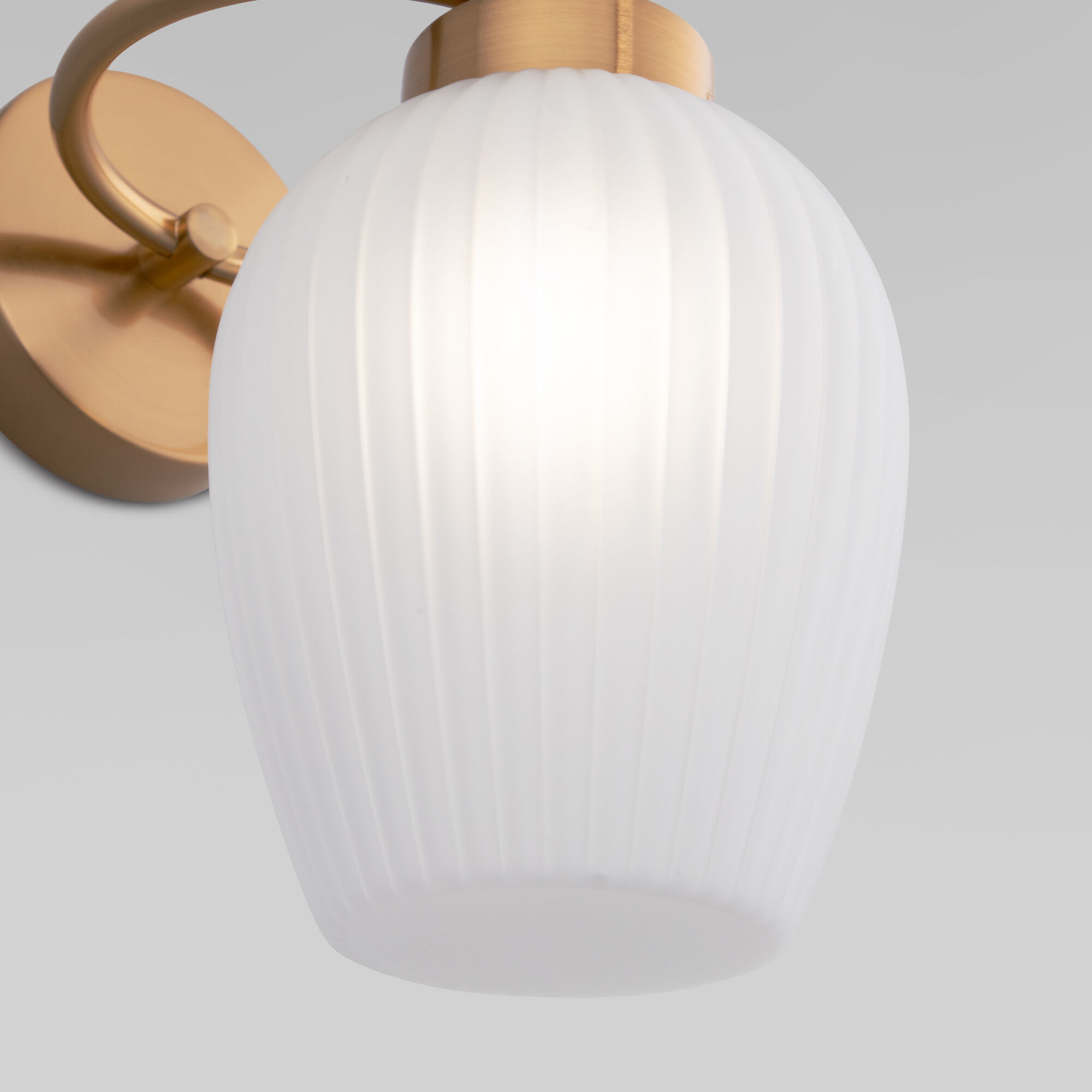 Настенный светильник Eurosvet 30184/1 латунь