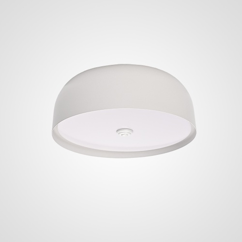 https://imperiumloft.ru/image/catalog/anechka/1200-99/1275/178351-26.jpg