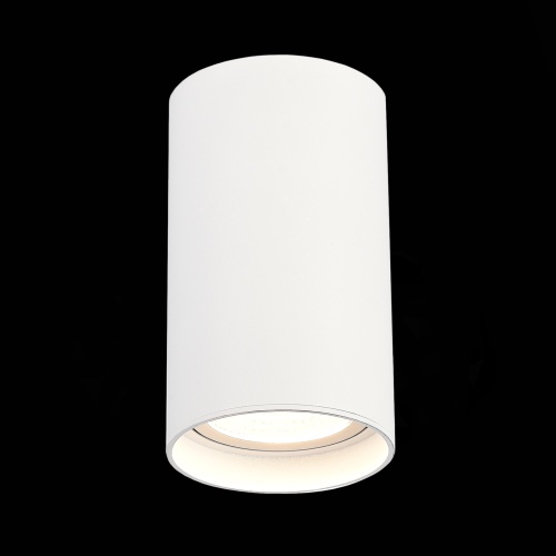 ST157.532.20 Светильник потолочный Белый LED 1*20W 3000K 1 600Lm Ra&gt;90 60° IP44 D95xH150 220-265V Накладные светильники