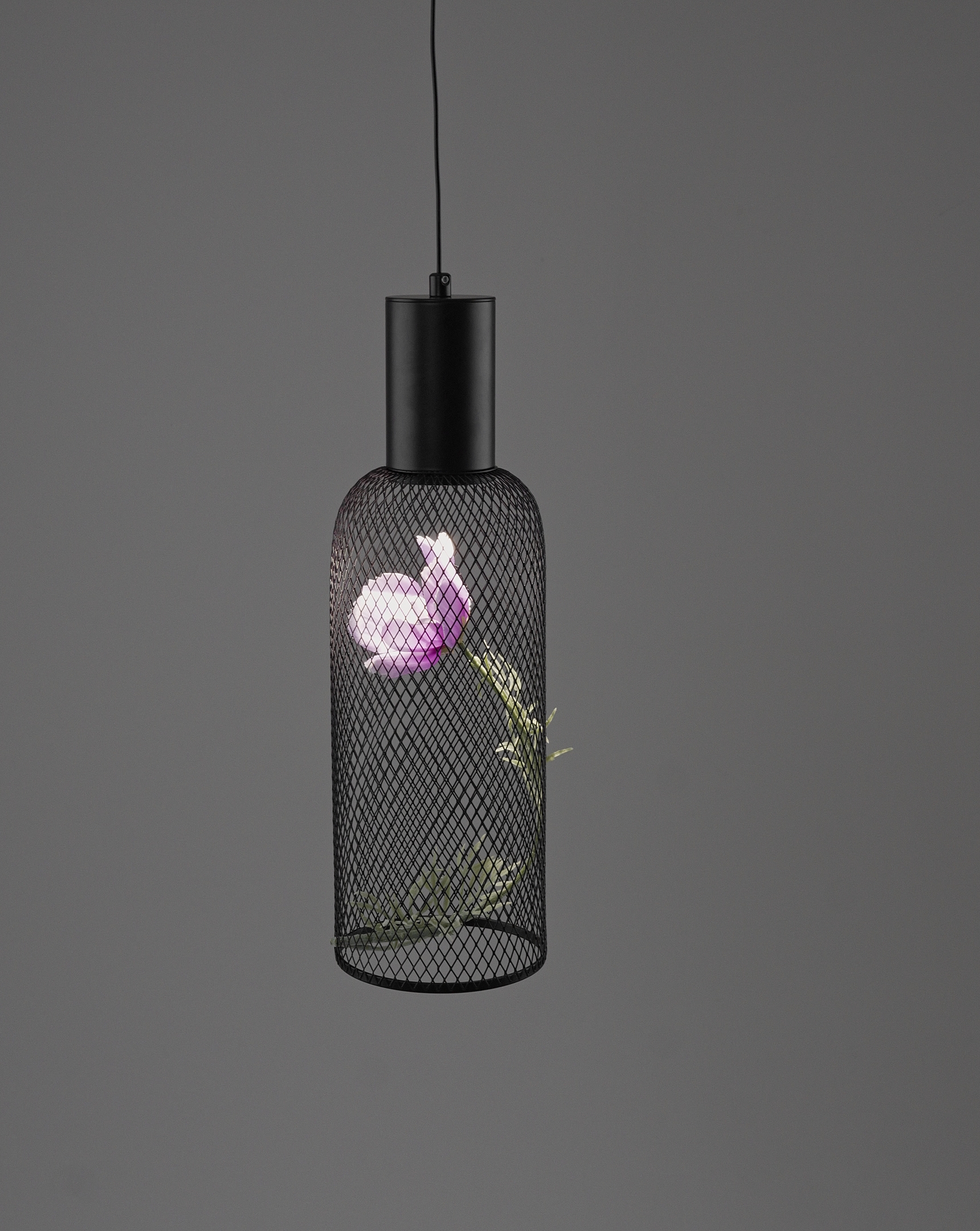 Светильник подвесной светодиодный Moderli V11873-PL Ophelia