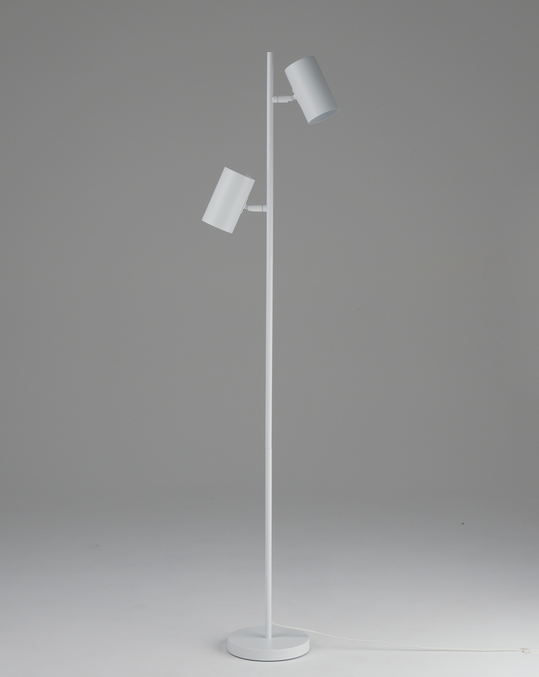 Торшер Moderli V11331-2F Ashes