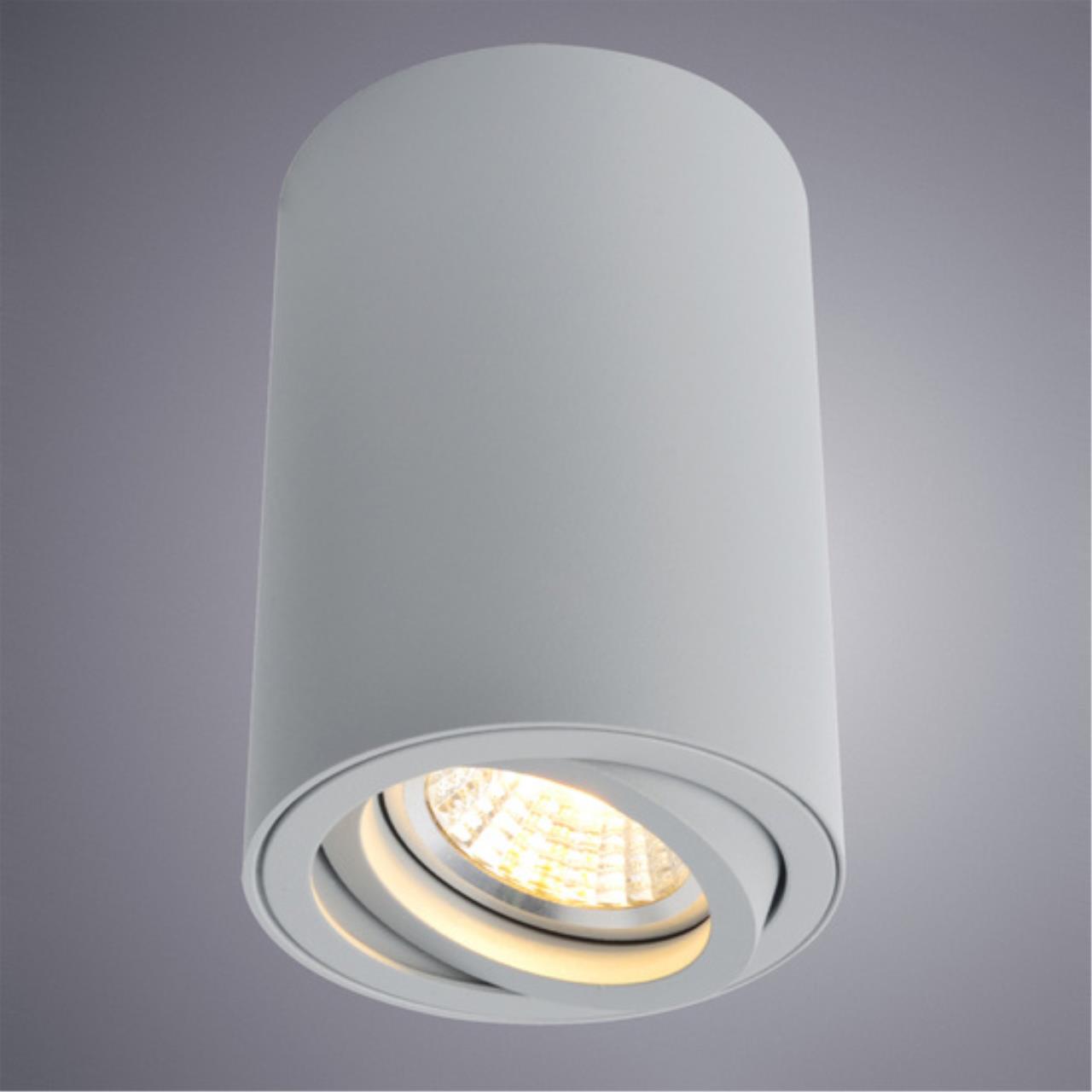 Накладной светильник Arte lamp A1560PL-1GY