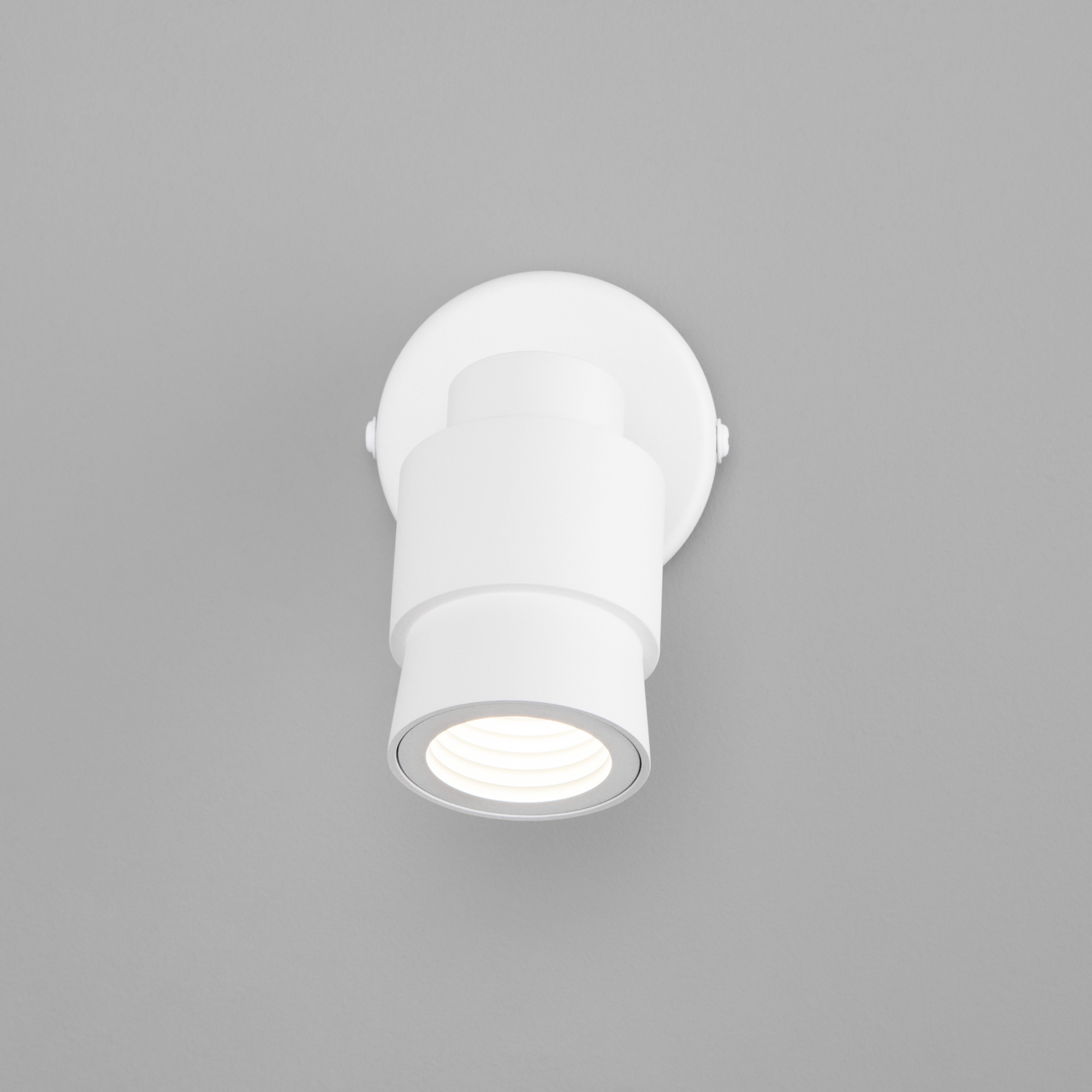 Настенный светильник Eurosvet 20125/1 LED белый