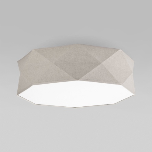 Потолочный светильник TK Lighting 6195 Kantoor