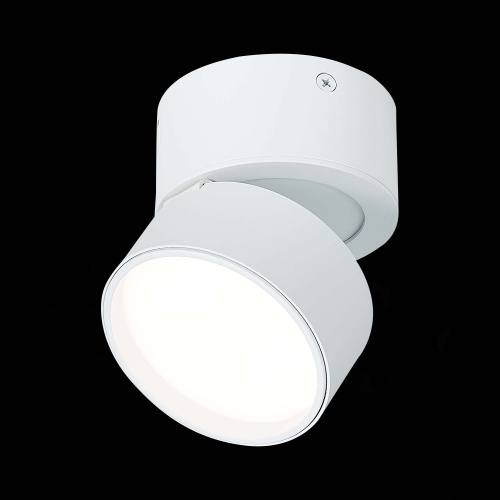 ST651.542.09 Светильник потолочный поворотный Белый LED 1*9W 4000K 720Lm Ra&gt;90 120° IP20 D85xH87 170 Накладные светильники