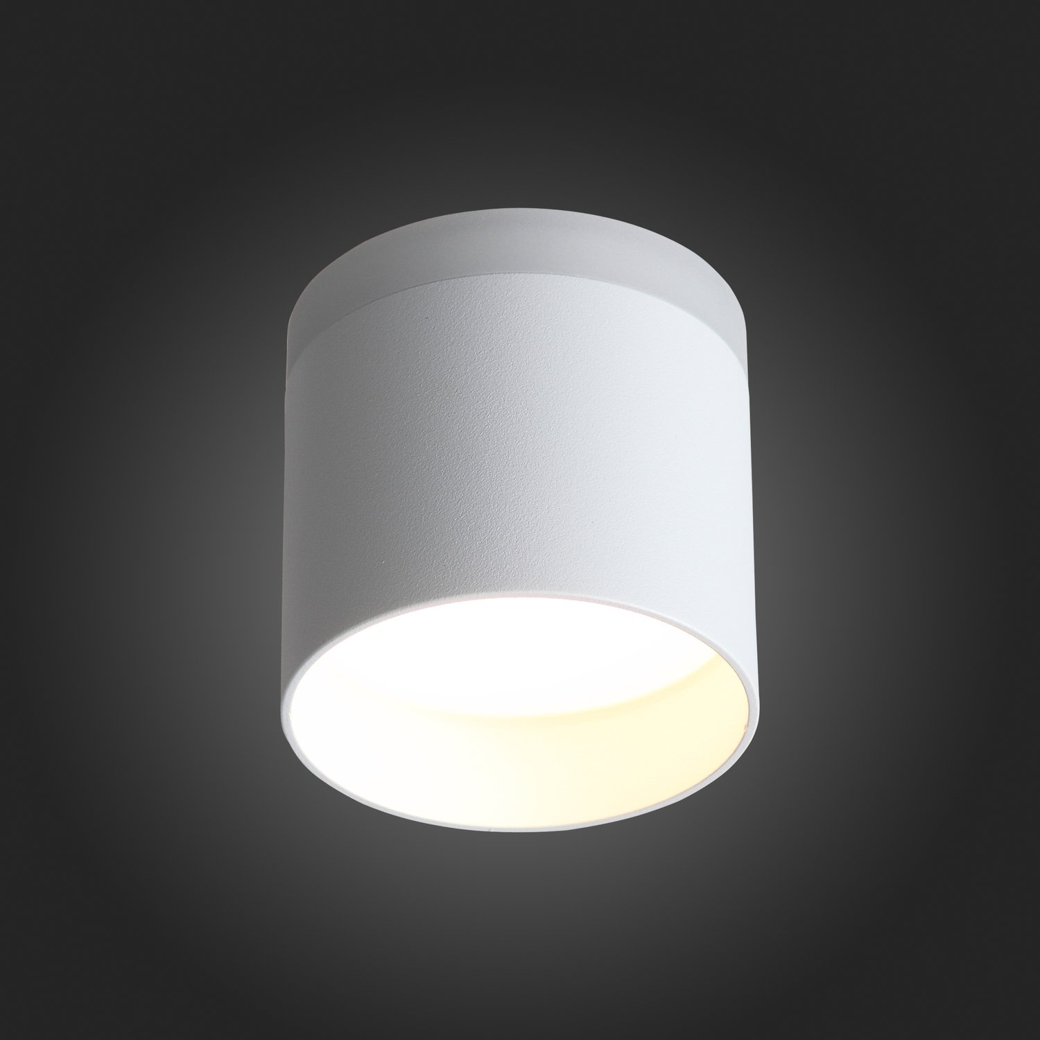 ST102.502.09 Светильник потолочный Белый LED 1*9W 3000K 702Lm Ra&gt;80 120° IP20 D79xH75 170-240V Накладные светильники