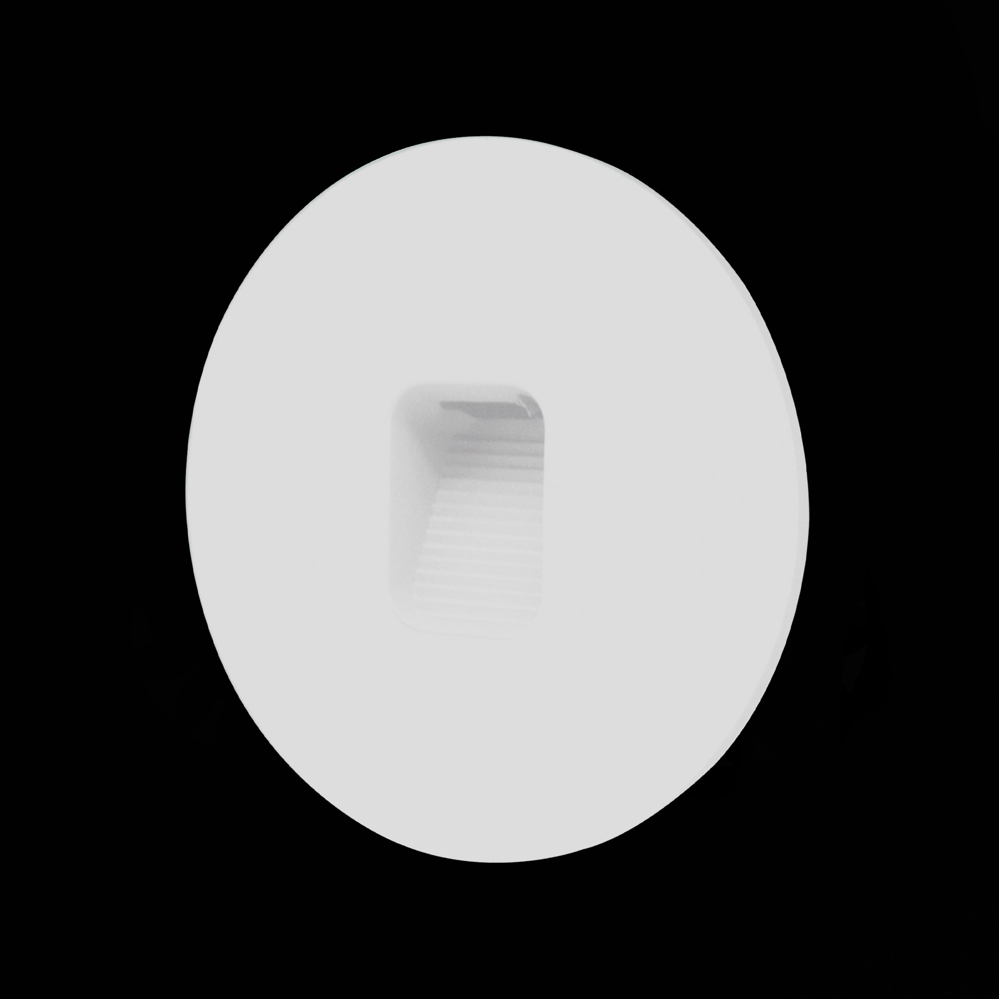 SL9501.501.01 Светильник уличный настенный ST-Luce Белый LED 1*1W 4000K VISANO