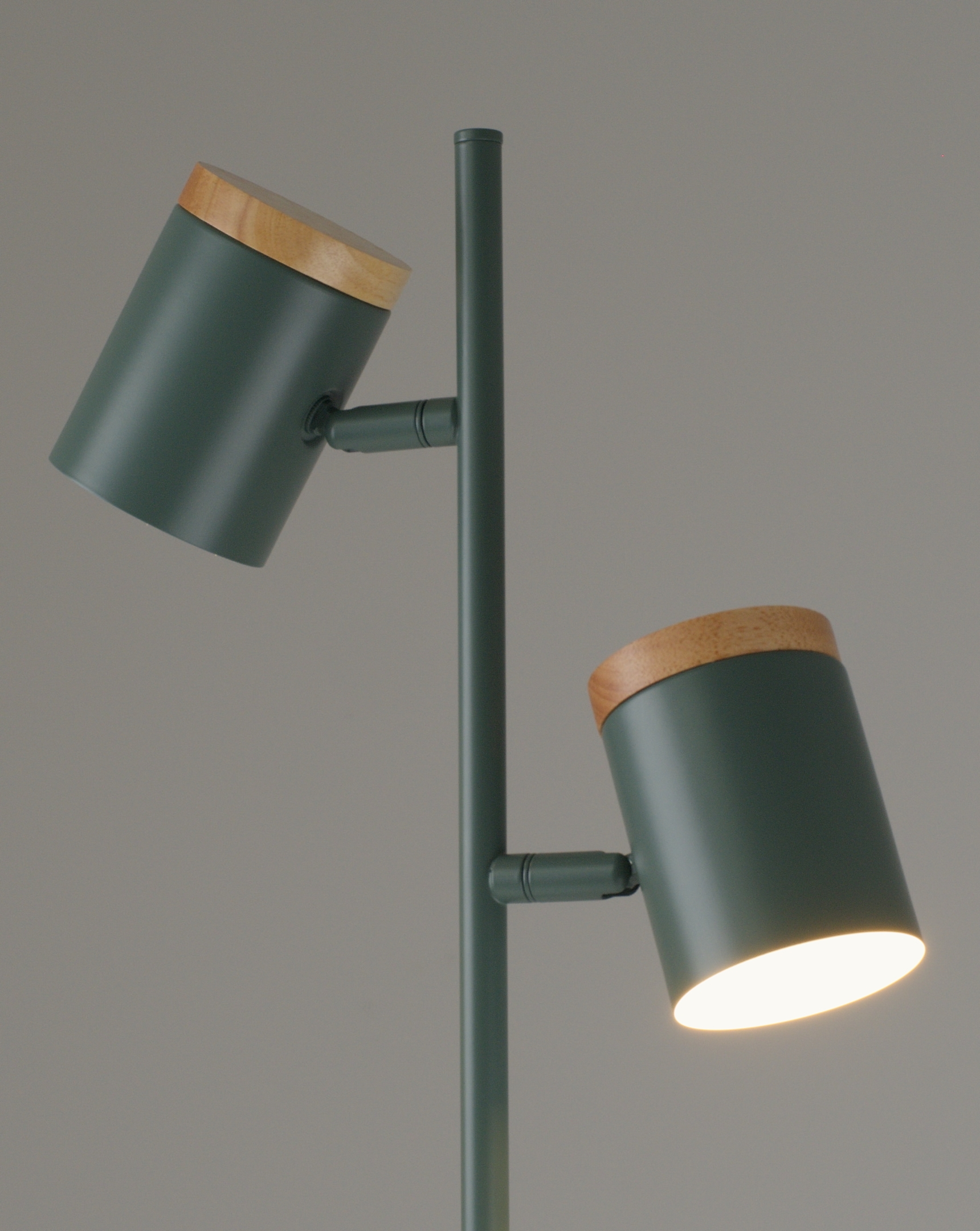 Торшер Moderli V11290-2F Asheswood