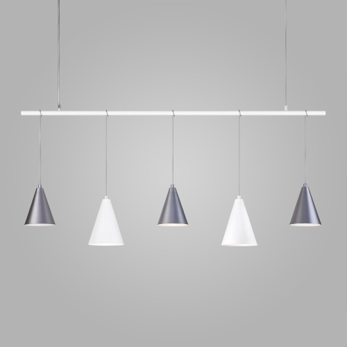 https://cdn.eurosvet.ru/images/catalog/podvesnoy-svetilnik-v-stile-loft-50088-5-belyy-serebro-a057473-0001.jpg