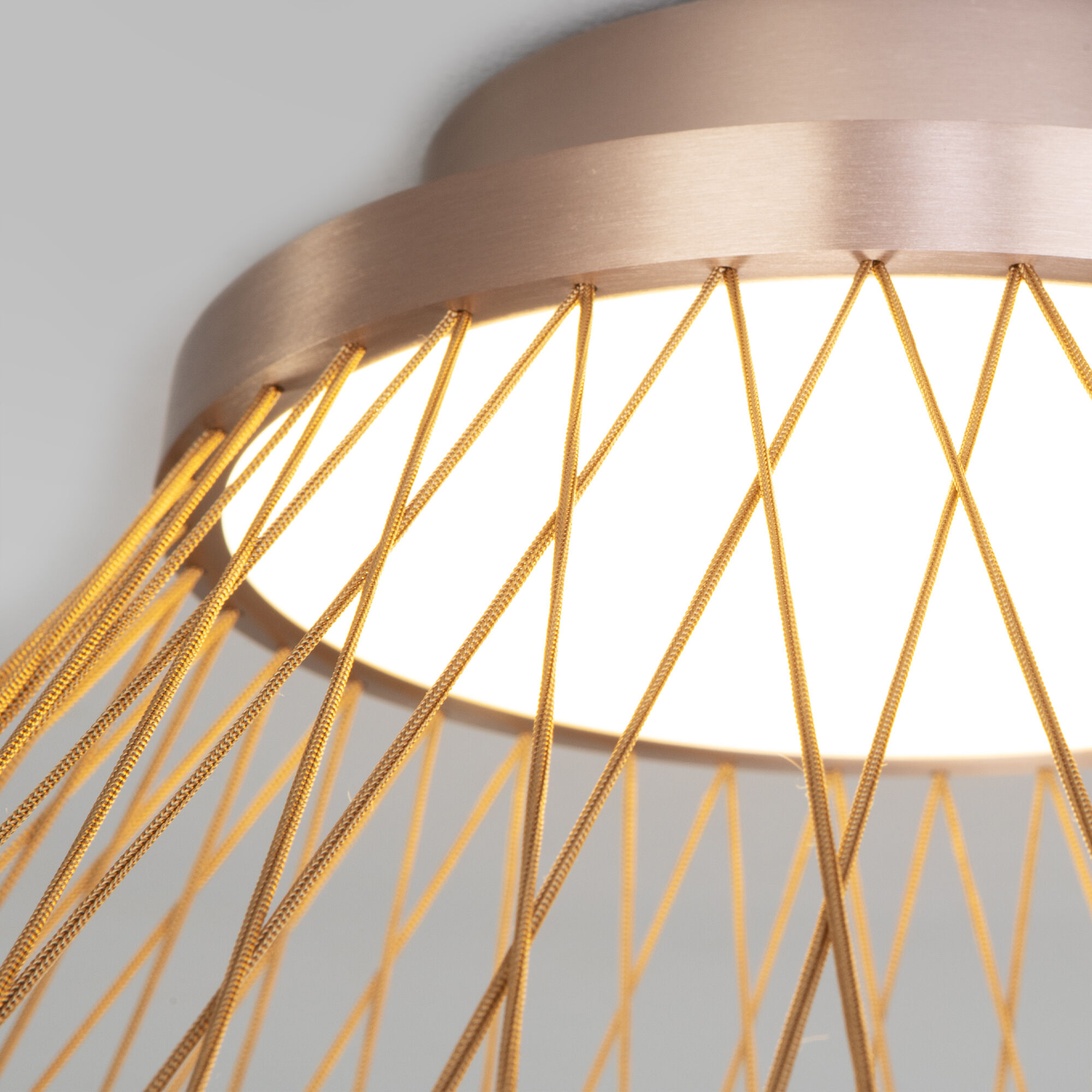 Потолочный светильник Eurosvet 40019/1 LED коричневый