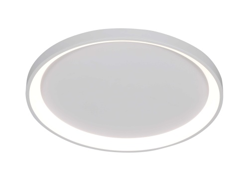 2551/580 WHITE (1) Потолочный светильник (RL)