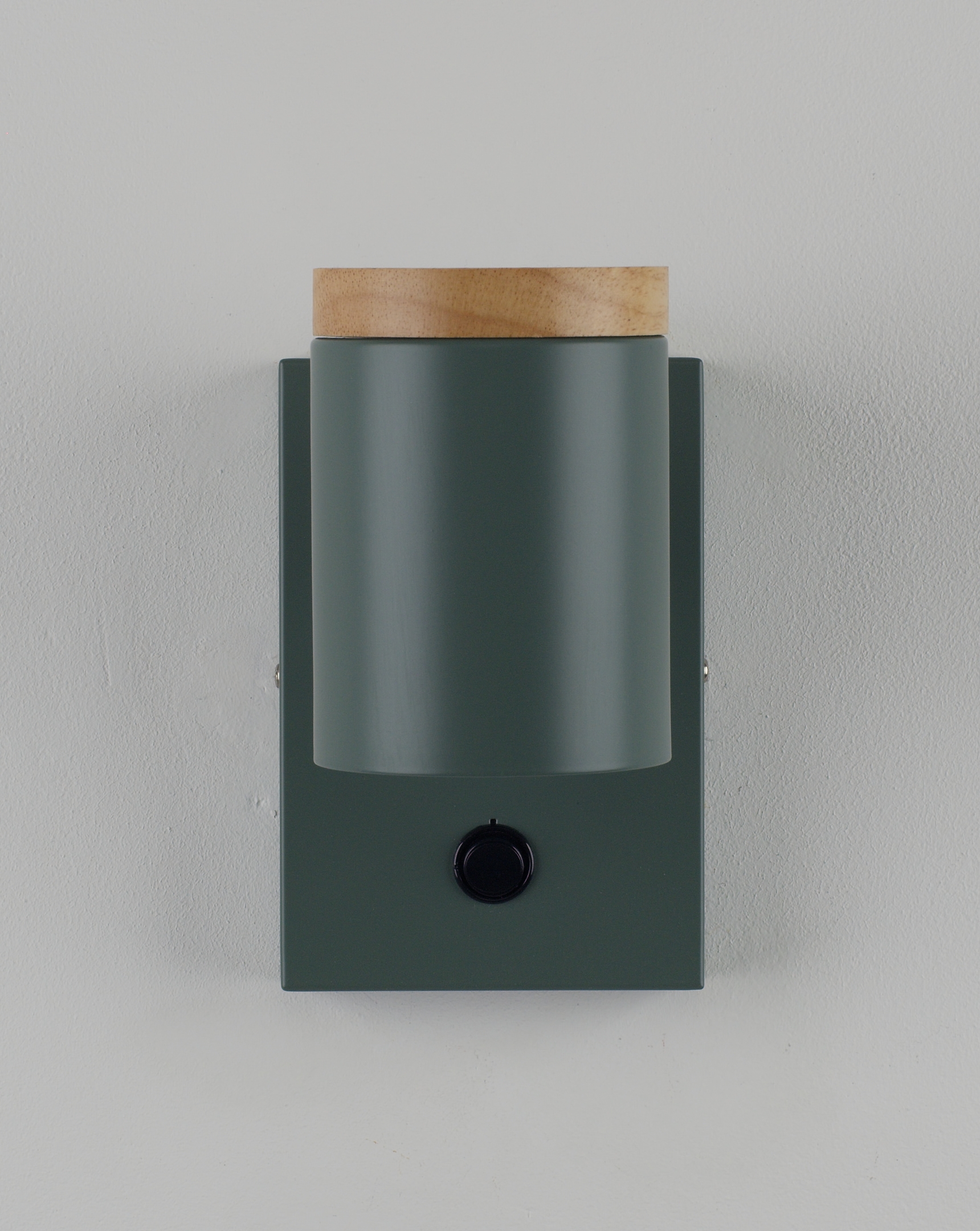 Светильник настенный Moderli V11294-1W Asheswood