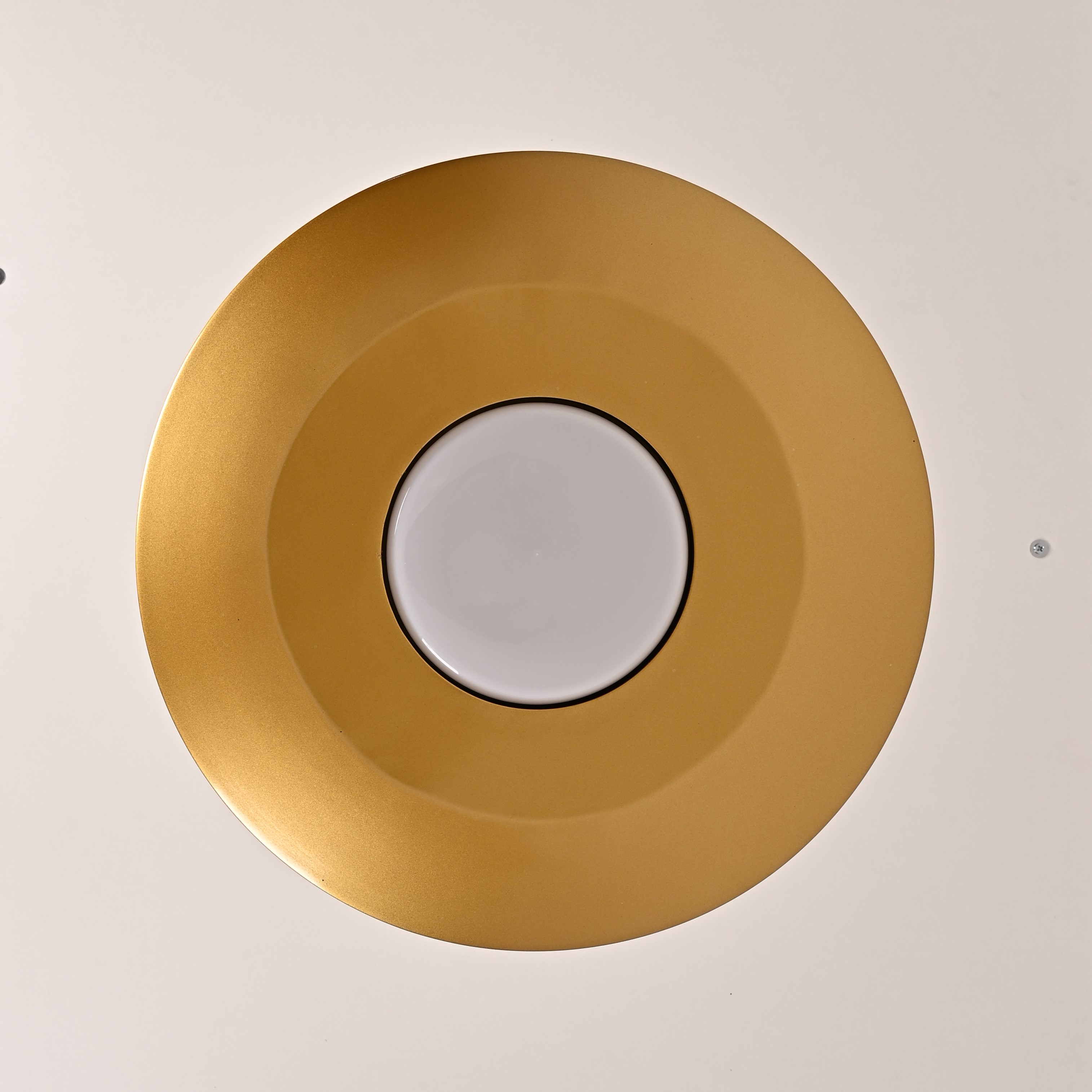 Подвесной светильник RASK D50 309065-26