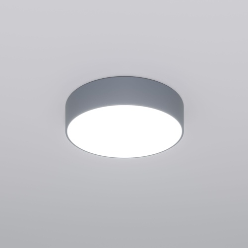 Потолочный светильник Eurosvet 90318/1 серый