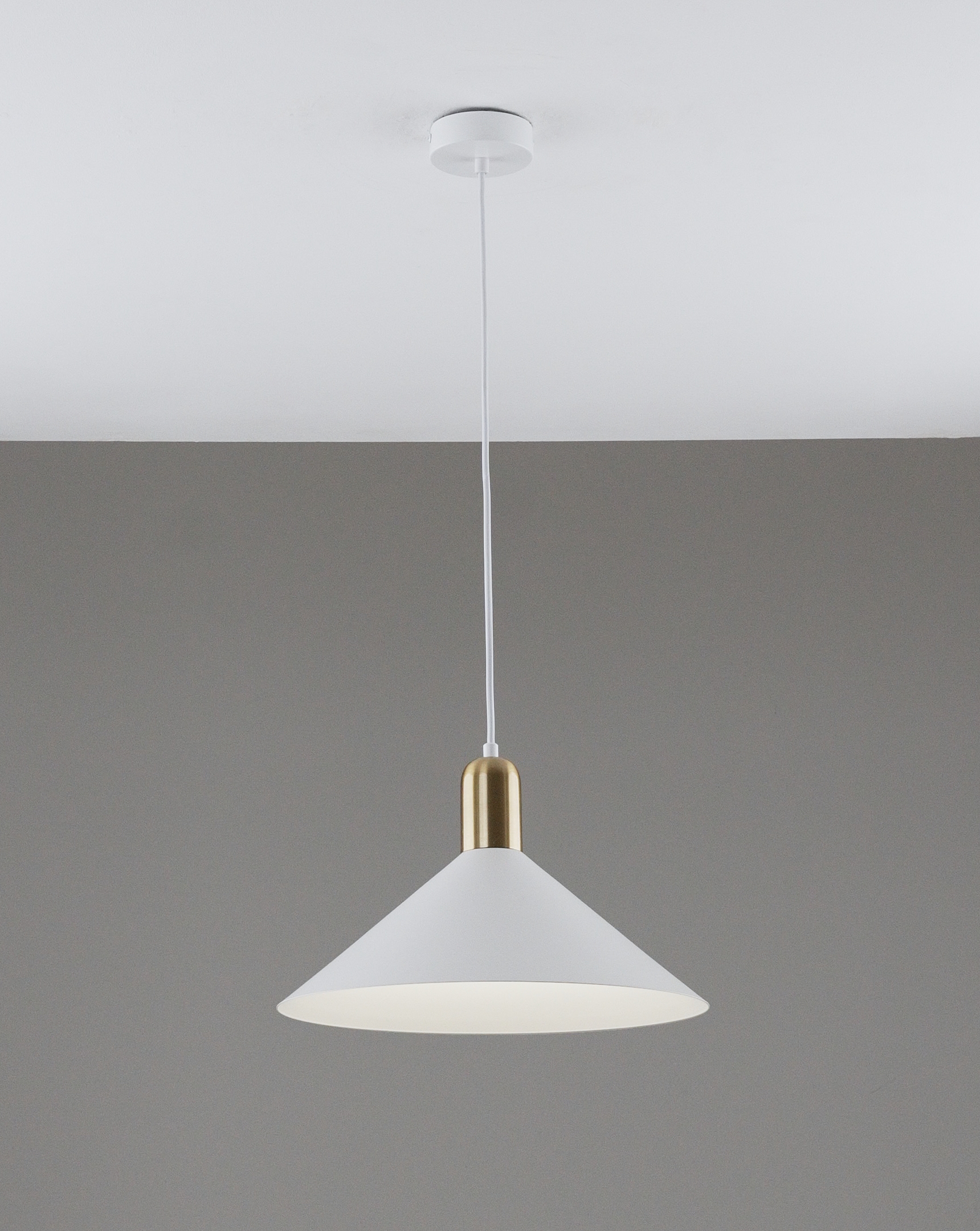 Светильник подвесной Moderli V11550-1P Forli