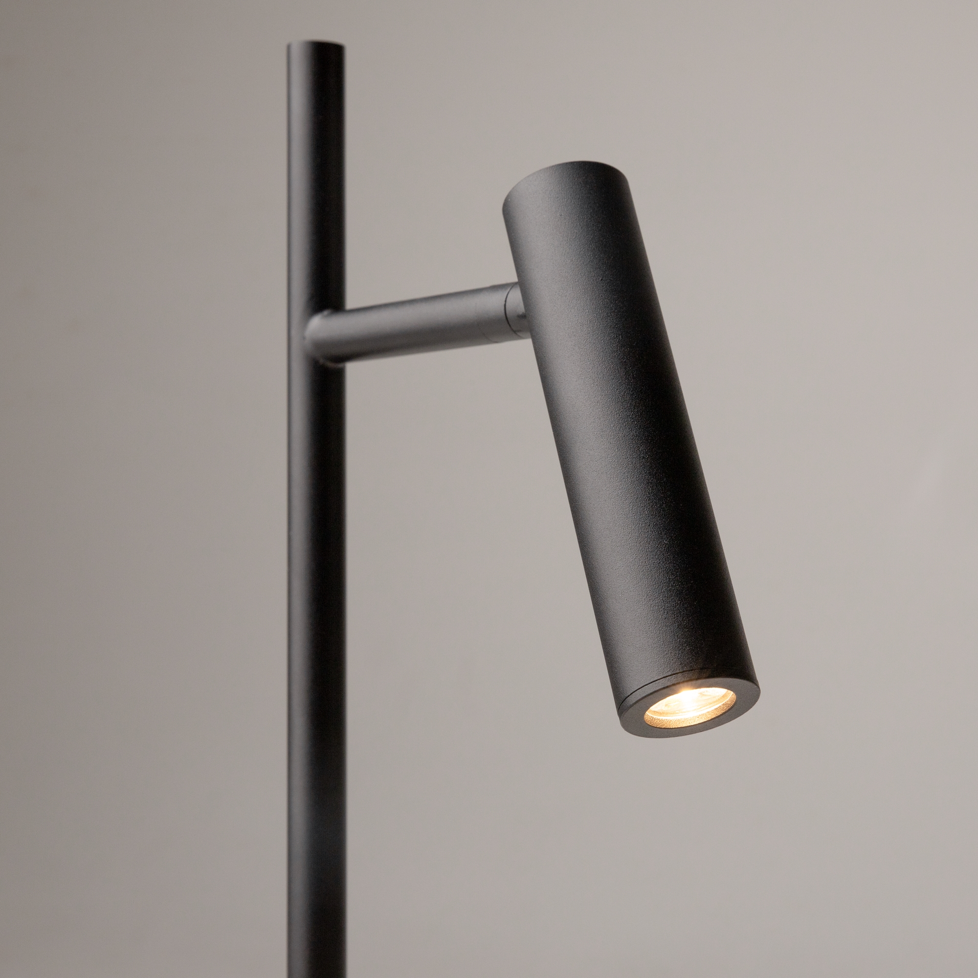 Напольный светильник (торшер) Maytoni Z010FL-L8B3K