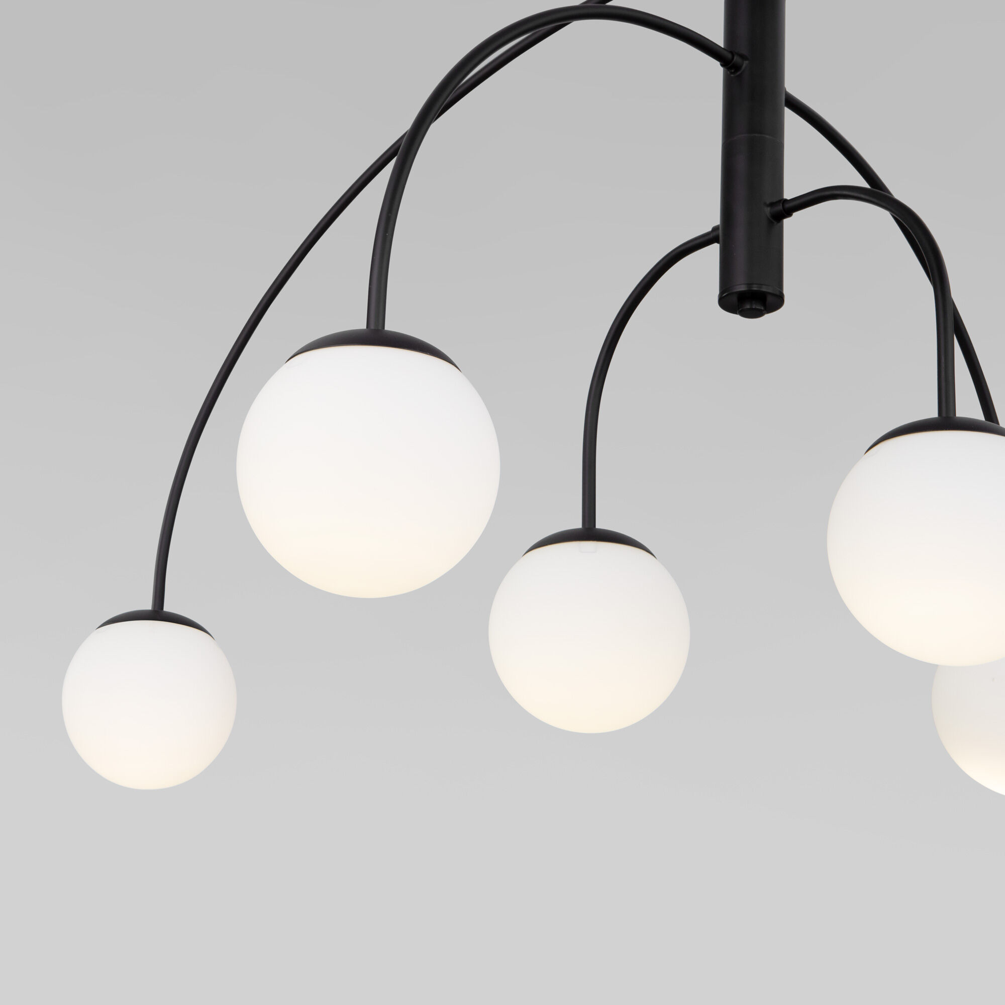 Потолочный светильник Eurosvet 30179/6 черный