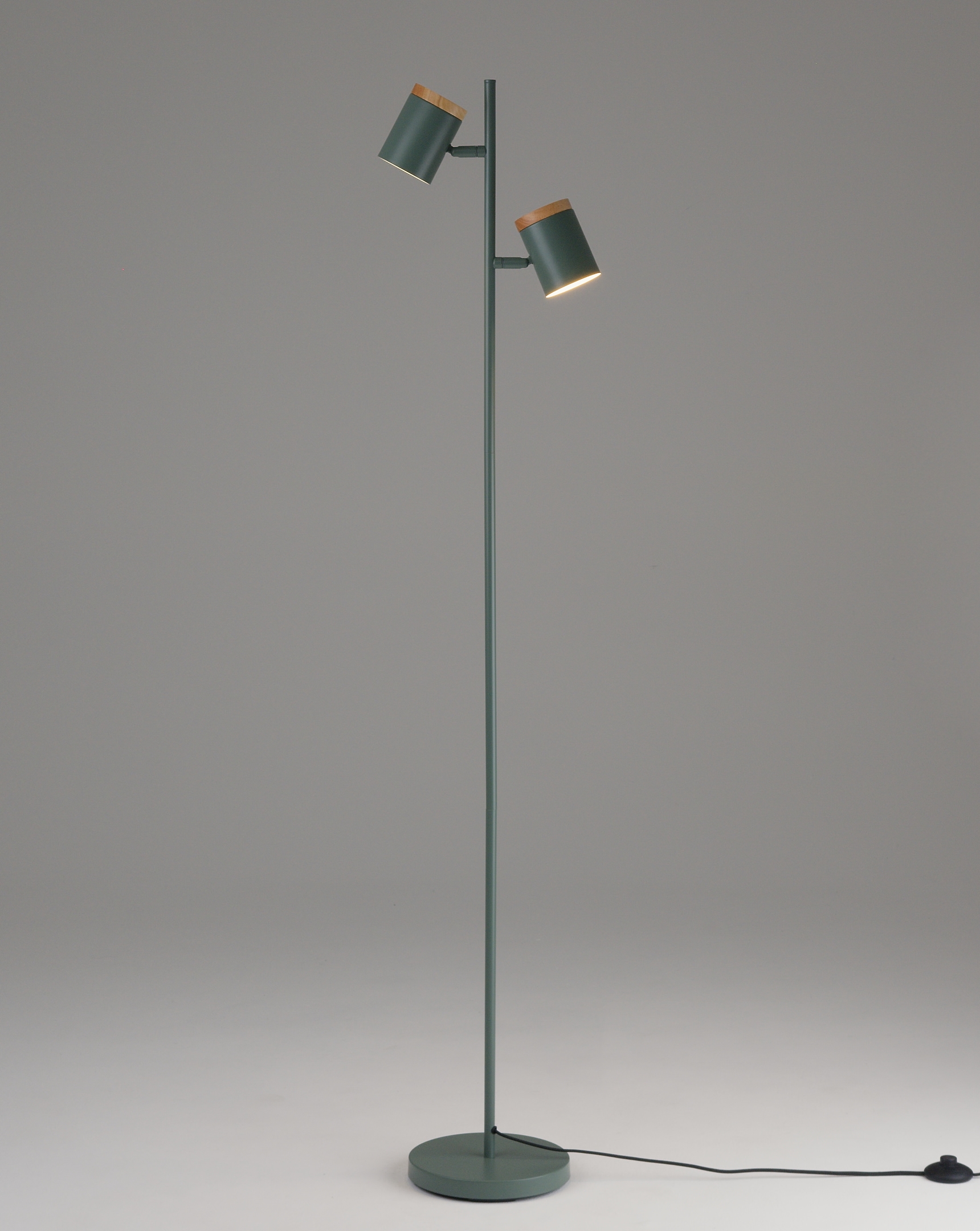 Торшер Moderli V11290-2F Asheswood