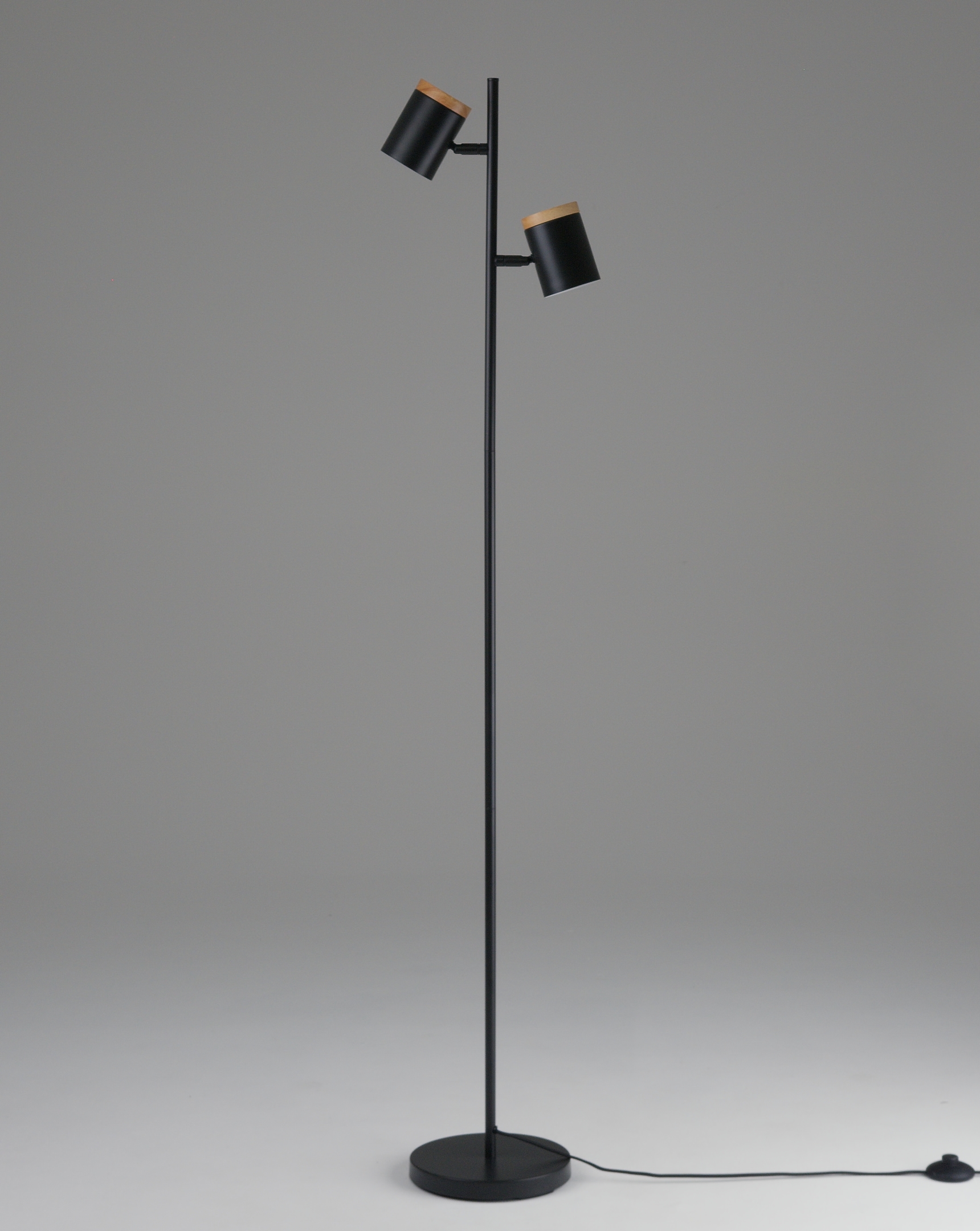 Торшер Moderli V11287-2F Asheswood