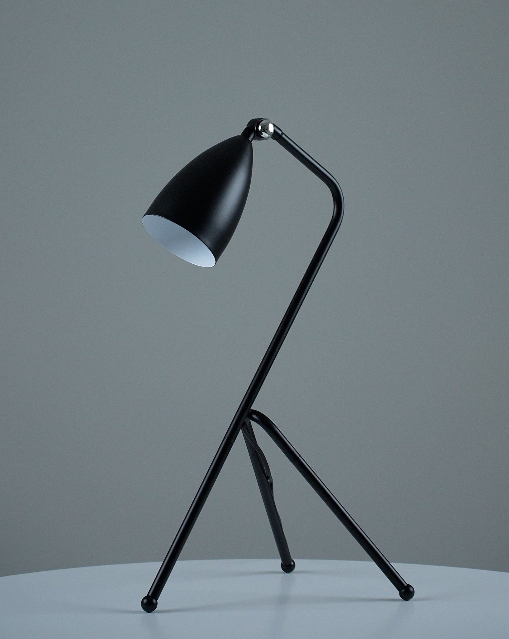 Лампа настольная Moderli V10998-T Show