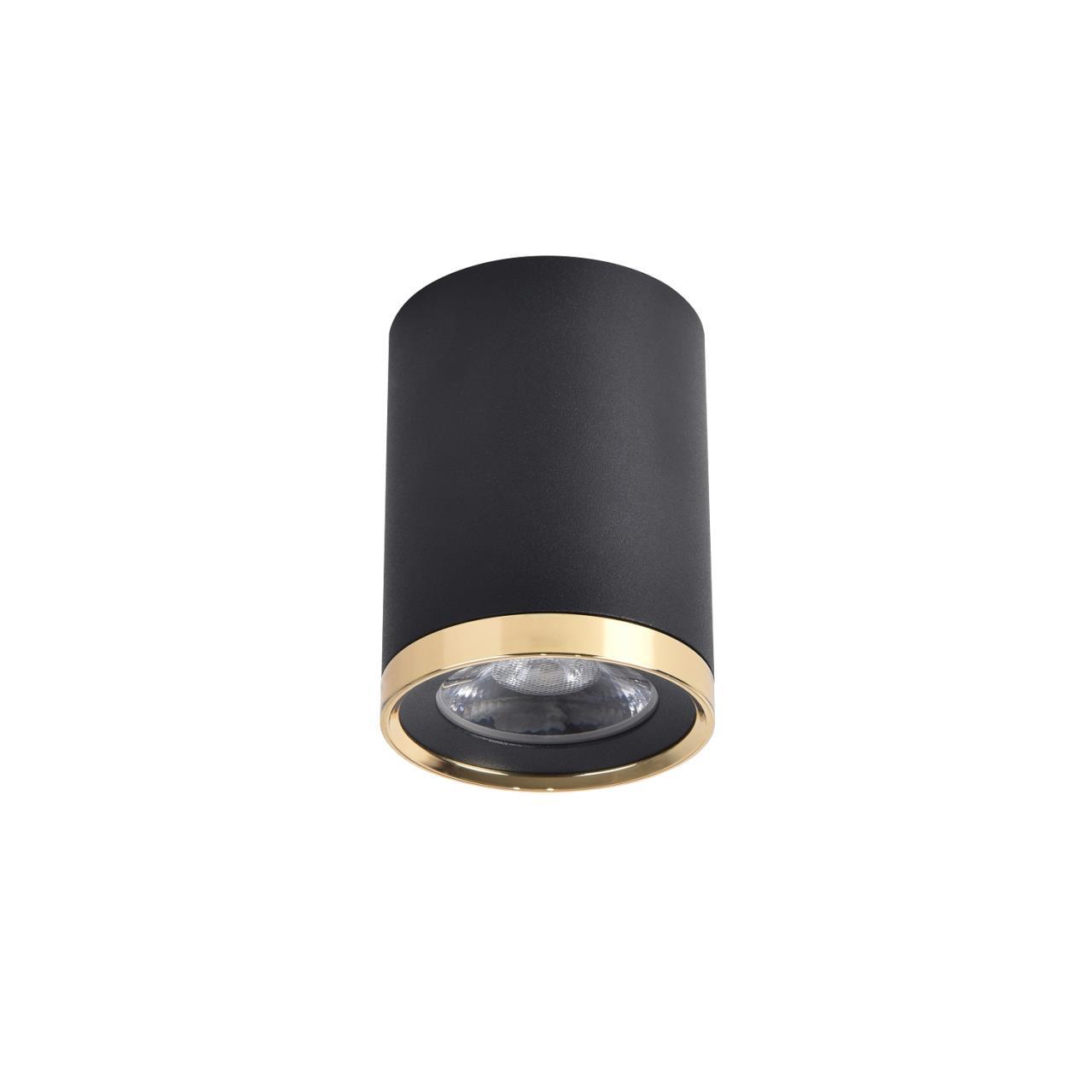Потолочный светильник Favourite 3086-1C