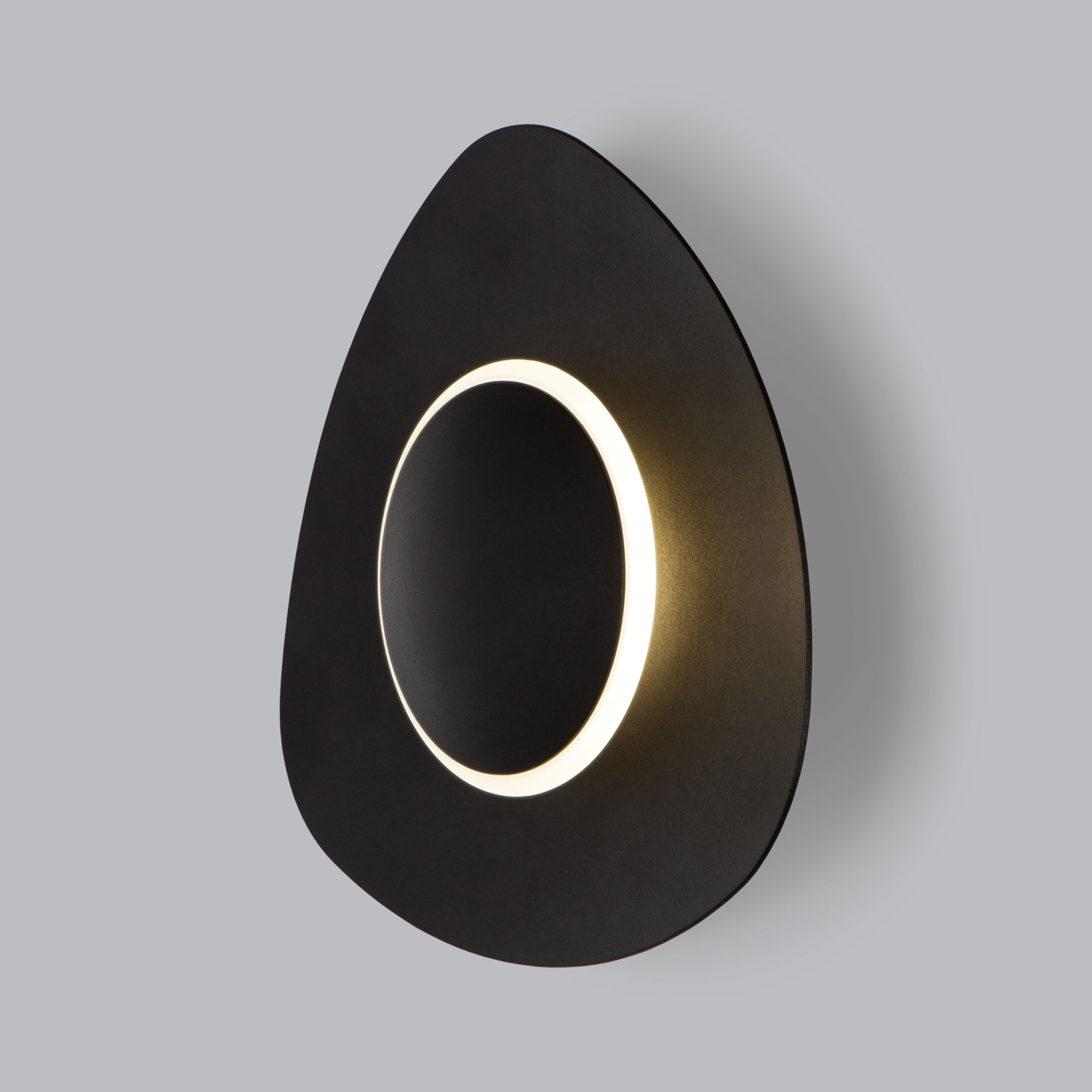 Настенный светильник Eurosvet 40151/1 LED черный