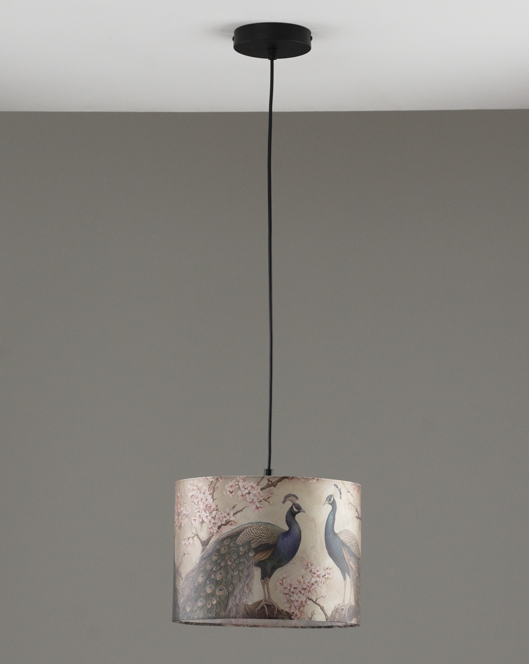 Светильник подвесной Moderli V11514-1P Strauss