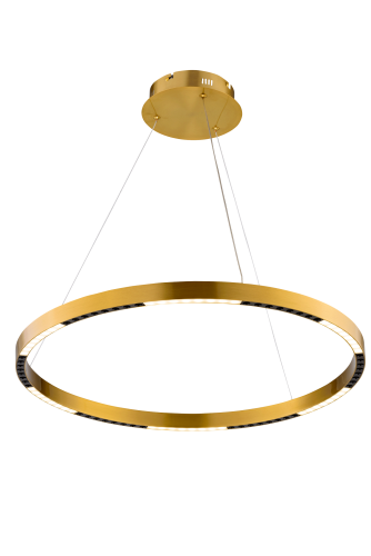 2063DW/600 PAINT GOLD (1) Светильник (RL)_SS