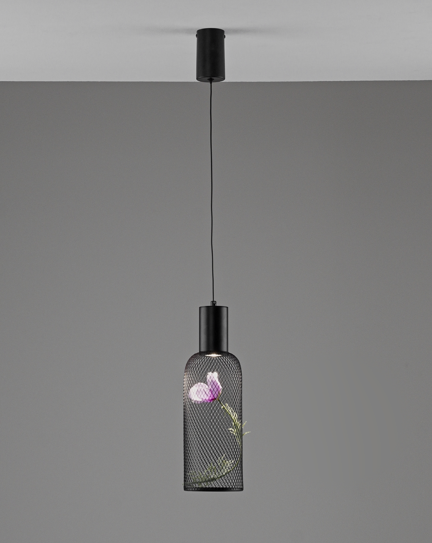 Светильник подвесной светодиодный Moderli V11873-PL Ophelia