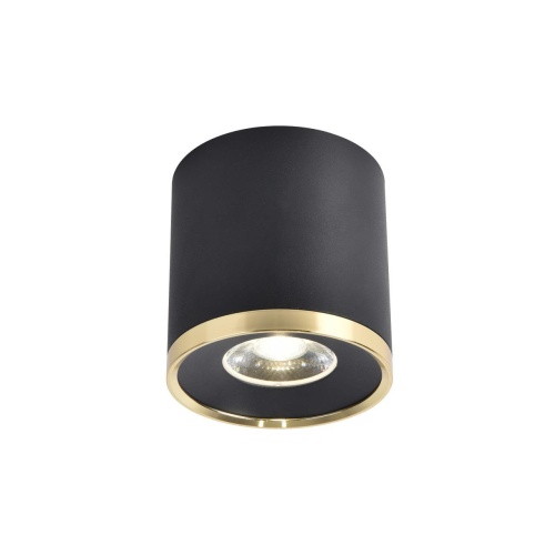 Потолочный светильник Favourite 3086-2C