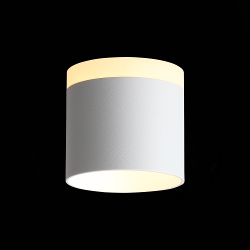 ST102.502.09 Светильник потолочный Белый LED 1*9W 3000K 702Lm Ra&gt;80 120° IP20 D79xH75 170-240V Накладные светильники