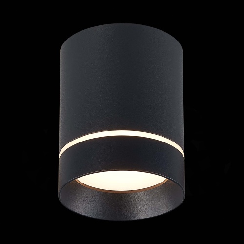 ST115.432.12 Светильник потолочный Черный LED 1*12W 3000K 840Lm Ra&gt;90 120° IP20 D79xH100 170-240V Накладные светильники