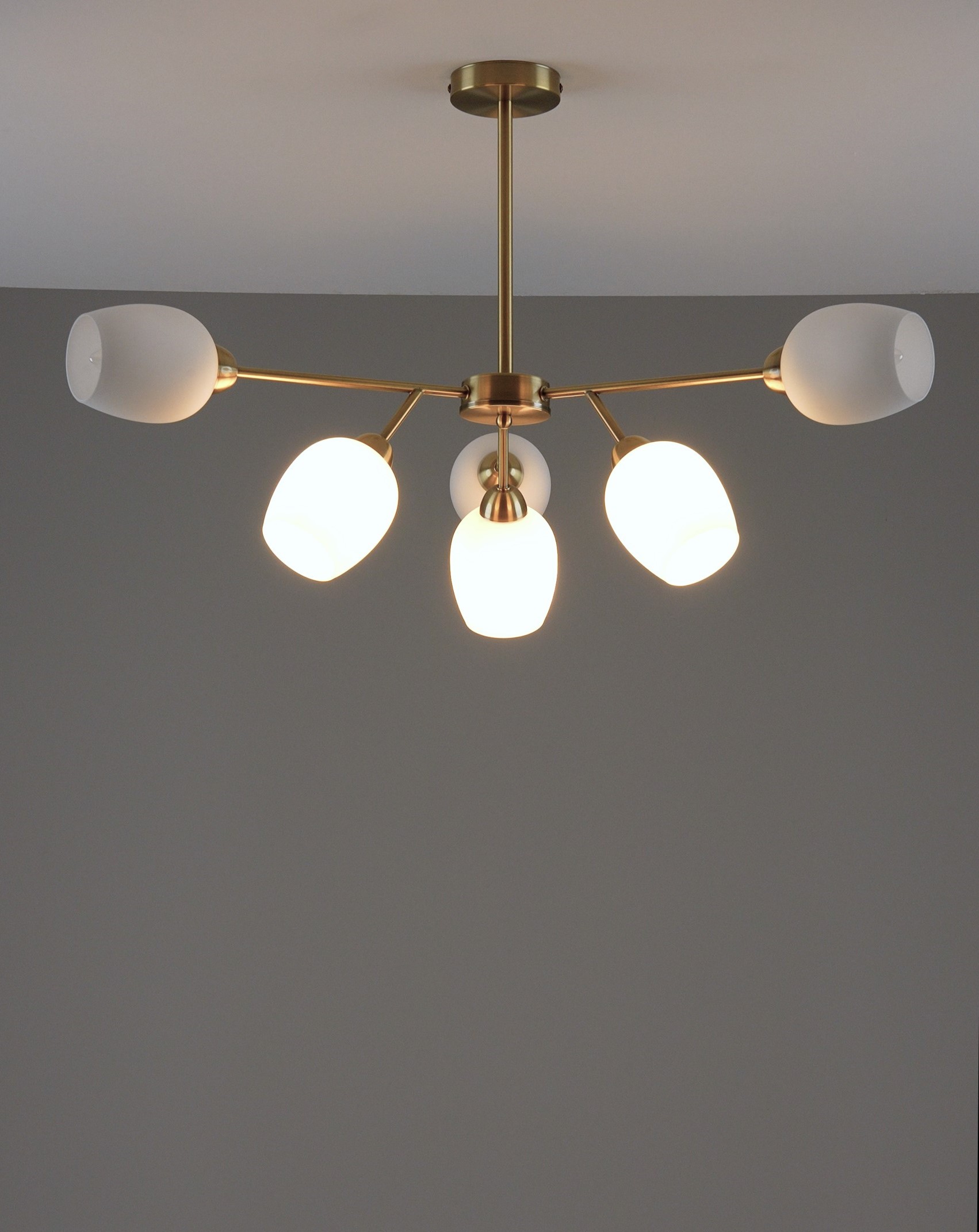 Люстра потолочная Moderli V10820-6C Cassy