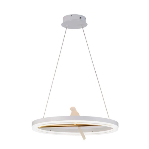 Подвесная люстра F-Promo 4653-1P, подвесная люстра, D500xH250/1300, LEDx25W, 1500LM, 4000K, included