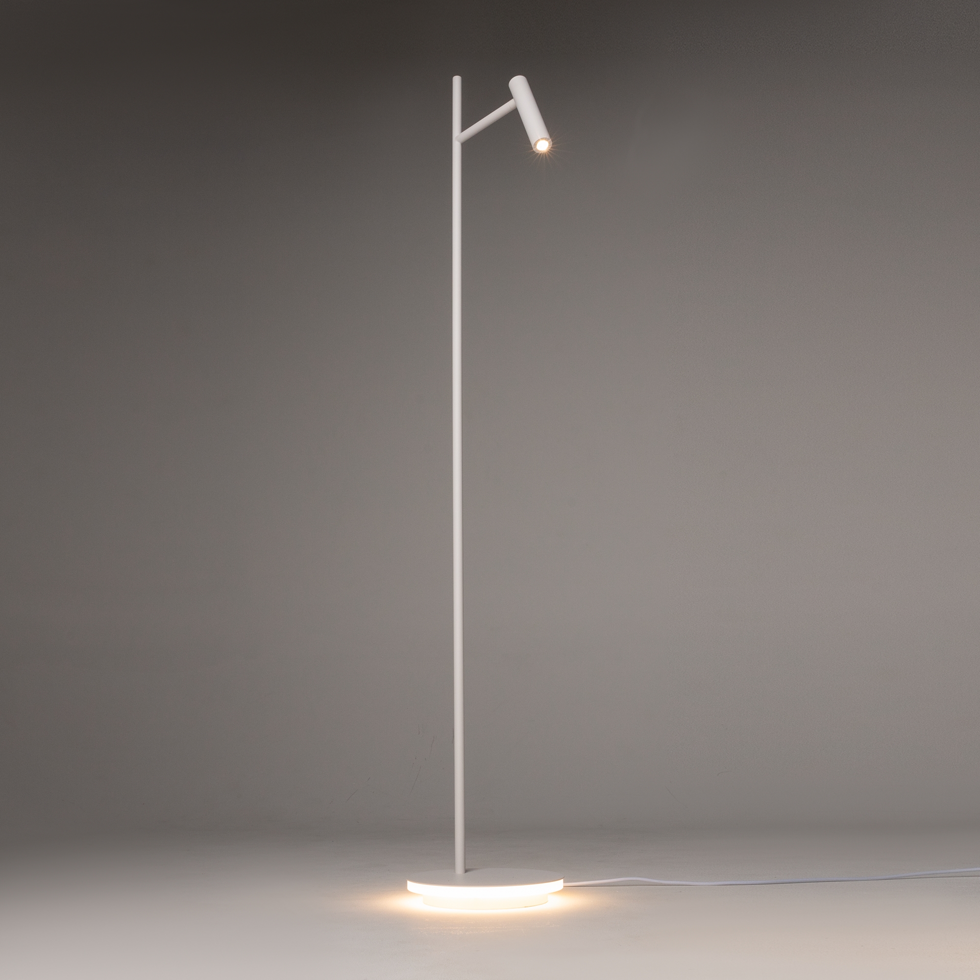 Напольный светильник (торшер) Maytoni Z010FL-L8W3K