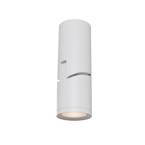 https://mais-upload.maytoni.de/Photo/4c70e514-ff76-4fe6-9fdf-ed2d063909a2/007standard/RENDER_C019CW-01W_on_w_standard.jpeg